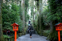 箱根神社の正参道