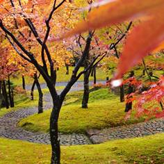 箱根美術館の紅葉