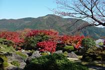 箱根美術館の石楽園