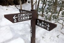 金時山ハイキングコースの登山口道標