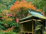佐助稲荷神社の紅葉