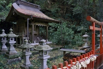 佐助稲荷神社の本殿