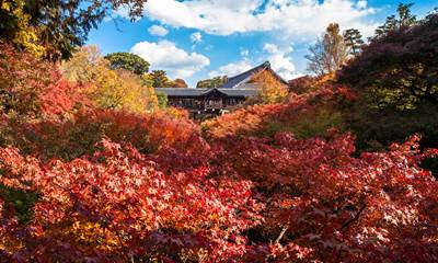 京都の紅葉