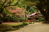 上賀茂神社の渉渓園