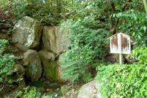 法金剛院の青女の滝
