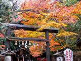野宮神社の紅葉