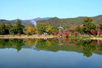 大覚寺の大沢池