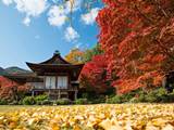 大河内山荘の紅葉