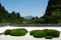 正伝寺の庭園