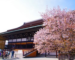 京都御所の春季・秋季特別公開