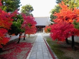 妙顕寺の紅葉