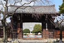 妙覚寺の大門