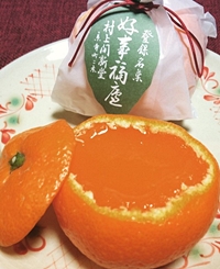 村上開新堂