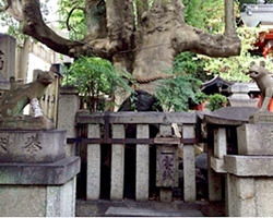 満足稲荷神社の岩神さん
