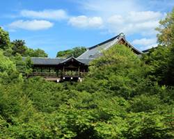 東福寺の新緑遊行特別公開