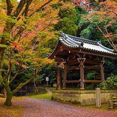 今熊野観音寺の紅葉