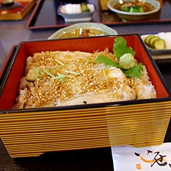 うなぎ いっせい
