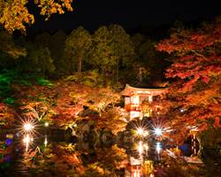 醍醐寺の秋期夜間拝観