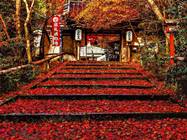 双林院（山科聖天）の紅葉