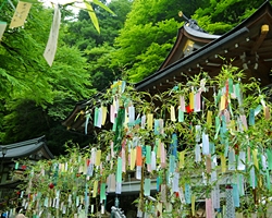 貴船神社の七夕笹飾りライトアップ