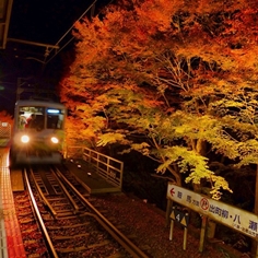 叡山電車の紅葉