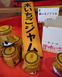 富しば