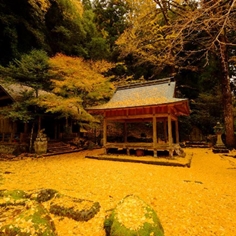 岩戸落葉神社の紅葉