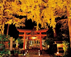岩戸落葉神社のライトアップ
